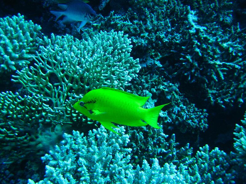 2009-12-05 14-48-03S.JPG